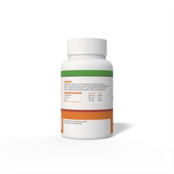 B12 + HIERRO + C 60 CAPS 510MG