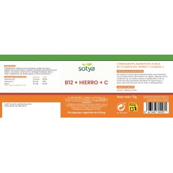 B12 + HIERRO + C 60 CAPS 510MG