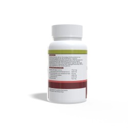 LEVADURA  ROJA DE ARROZ + Q10 +DHA 60 Caps
