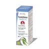 Eucalyforce essential mix bio 30ml Physalis | Dietisur