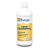 CHLOROPHYLL LIQUID 480 ml