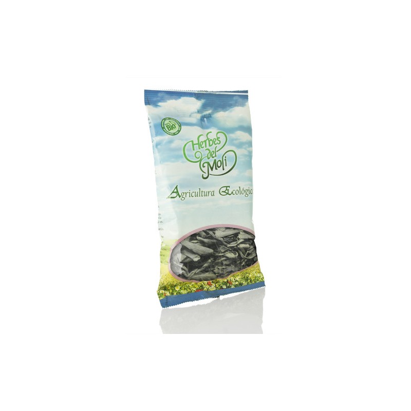 GINKGO BILOBA HOJA ECO 40 g