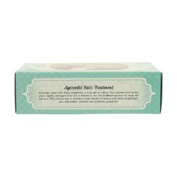 TRATAMIENTO CAPILAR AYURVEDICO AMLA