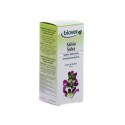Tintura Salvia BIO 50ml BIOVER