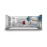 CONTROL DAY YOGURT BARRITA