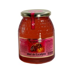 Miel de eucalipto 1kg Hispamiel | Dietisur