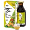 Vitamina B Komplex 250ml SALUS