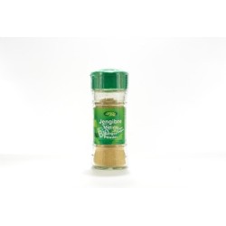 JENGIBRE MOLIDO 25G ARTEMIS