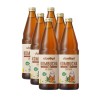 KOMBUCHA ORIGINAL BIO 750ml