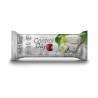 CONTROL DAY MANZANA Y YOGURT