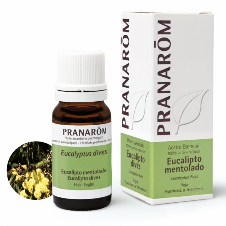 EUCALIPTO MENTOLADO HOJA 10 ML