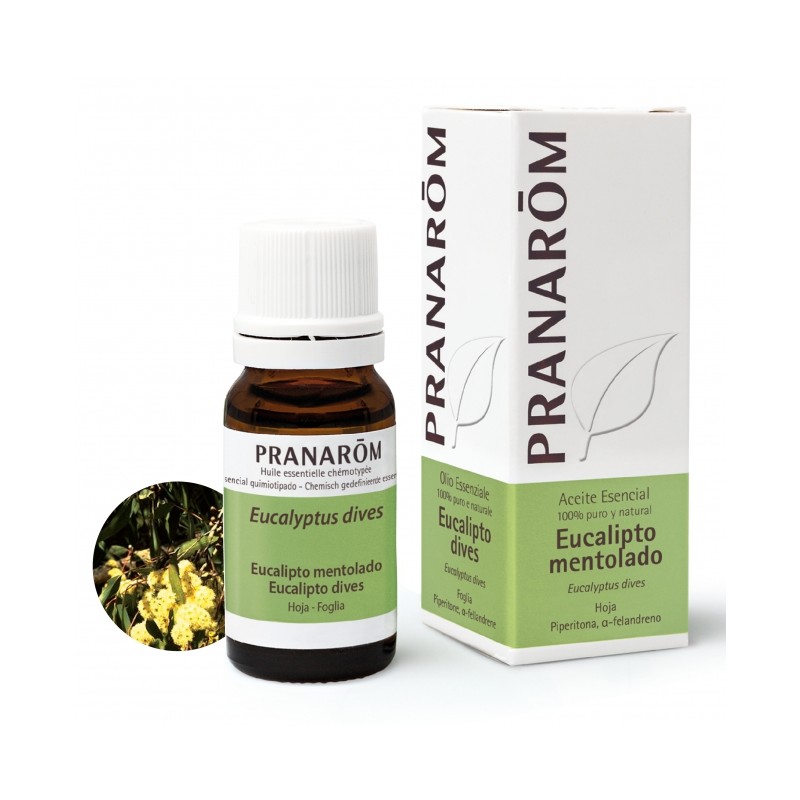 EUCALIPTO MENTOLADO HOJA 10 ML