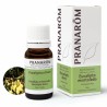 EUCALIPTO MENTOLADO HOJA 10 ML