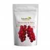 SCHISANDRA EN POLVO 50G ECO
