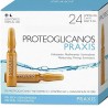 PRAXIS PROTEOGLICANOS CAJA 24UD