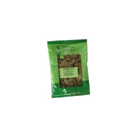 HINOJO SEMILLAS BOLSA 100 Gr