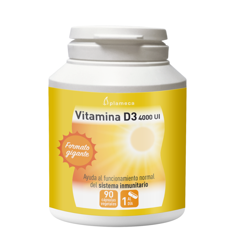 VITAMINA D3 4000 UI 90 Caps