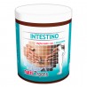 NUTRIORGANS INTESTINO 250 gr