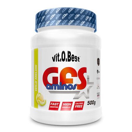 GFS AMINOS POWDER 500 gr WILD MELON