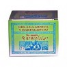 PARACELSIA 21 GEL ARNICA 200 ml