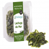 ALGA LECHUGA DE MAR FRESCO BIO 100 g