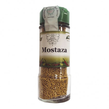CONDIMENTO MOSTAZA GRANO BIOCOP 60 G