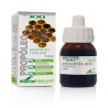 EXTRACTO PROPOLEO S XXI 50 ml