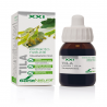 EXTRACTO TILA S XXI 50 ml