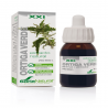 EXTRACTO ORTIGA VERDE  S XXI 50 ml