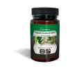 capsUDIET CASTAÑO DE INDIAS 40 caps