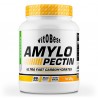 AMYLOPECTIN 2 Kg MANZANA