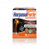 HARPASUL FORTE 20 Amp x 15 ml