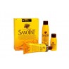 SANOTINT CLASSIC 06 CASTAÑO OSCURO