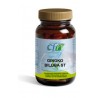 GINKGO BILOBA ST 60 caps