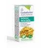ACEITE ESENCIAL INCIENSO DE LA INDIA BIO 5 ML
