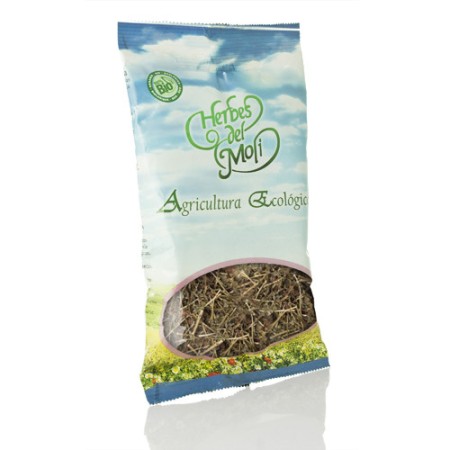 ABROTANO MACHO PLANTA TRADICIONAL 60 gr