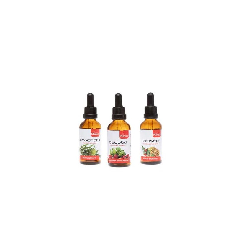 LIQUEN 50 ml C/ ALCOHOL