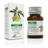 ESENCIA DE SALVIA 15 ml