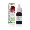 EXTRACTO EQUINACEA S. XXI 50 ml