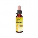 Rescue remedy 10ml Bach | Dietisur