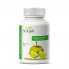 GARCINIA CAMBOGIA  90 caps