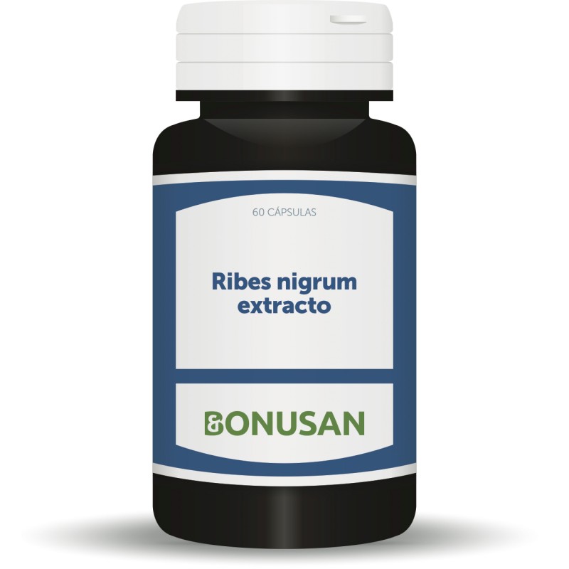 RIBES NIGRUM EXTRACTO 60 Caps
