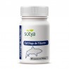 CARTILAGO TIBURON  60 CAP DE  600 mg