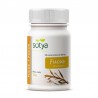 FUCUS  100 comp
