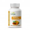 PAPAYA + tronco de piña 600 mg 100 comp