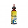 BACH RESCUE NIGHT GOTAS 20 ml