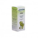TINTURA GINKGO BIO 50ML
