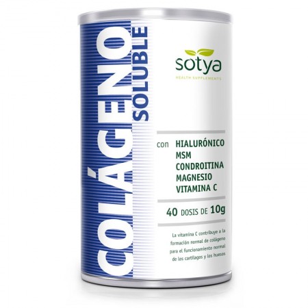 COLAGENO+A.HIALURONICO+MSM BOTE 400 g